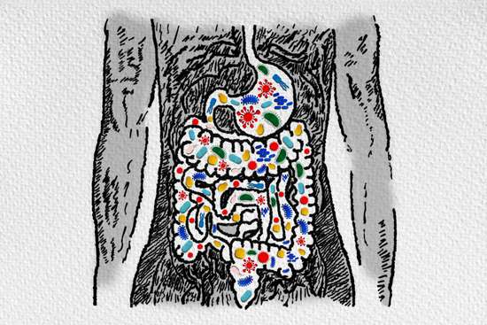 How to Modify your Gut Bacteria to Lose Weight